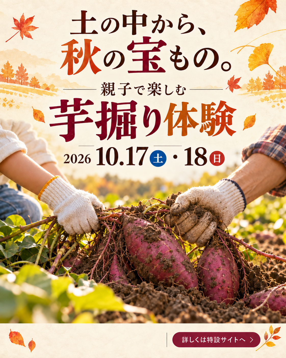親子の手でさつまいもを掘り出す秋の体験のイメージ