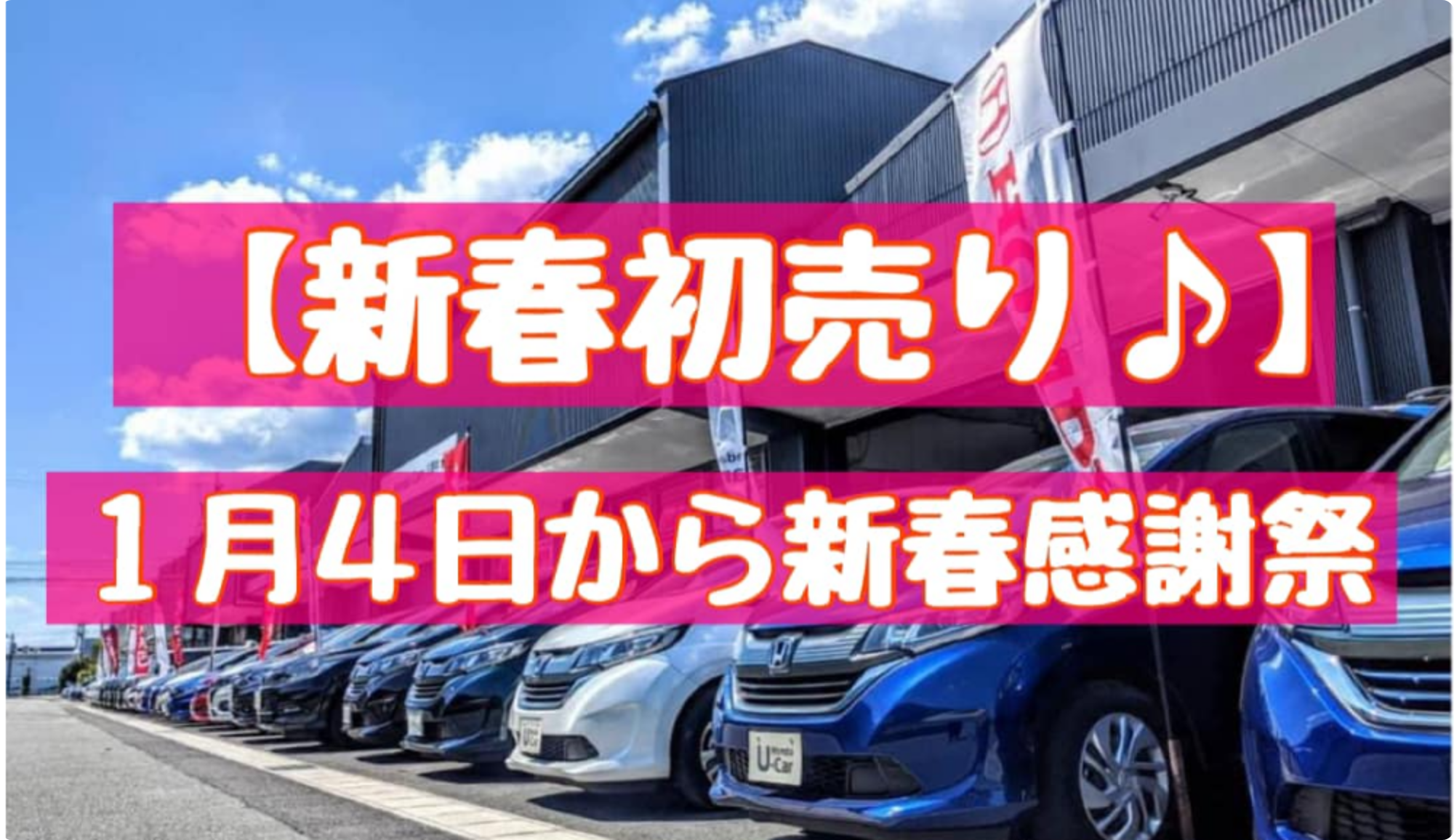 n_0520221227.png