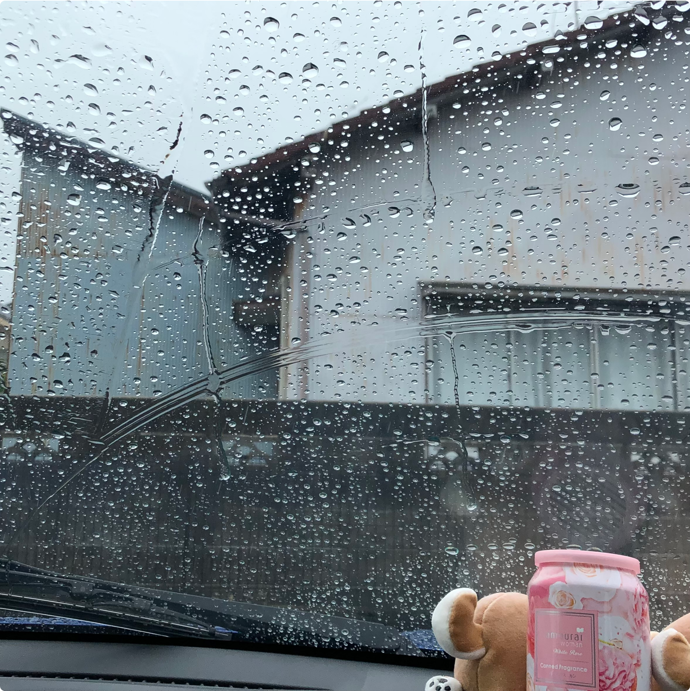 ブログ_06_220619_雨