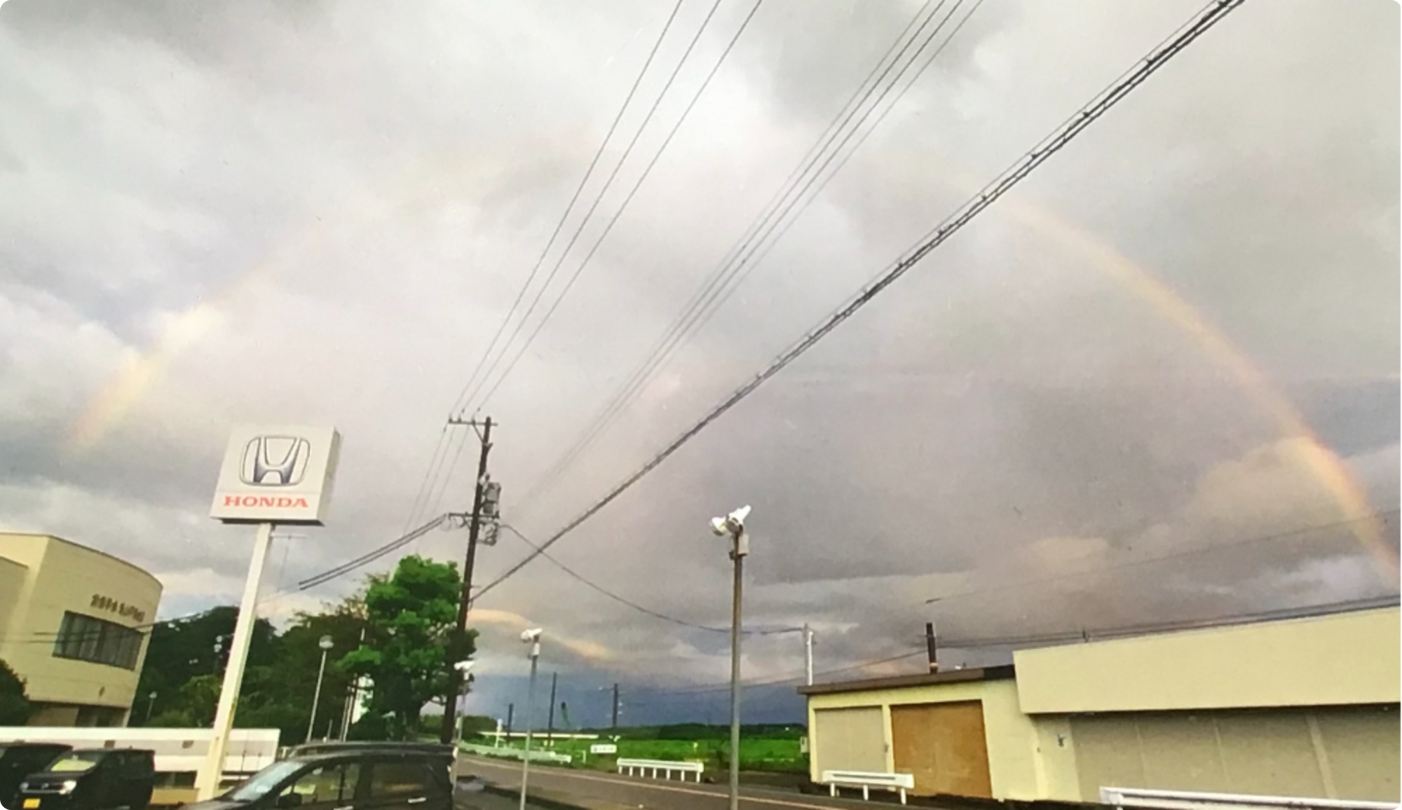 n_IMG_0184.png