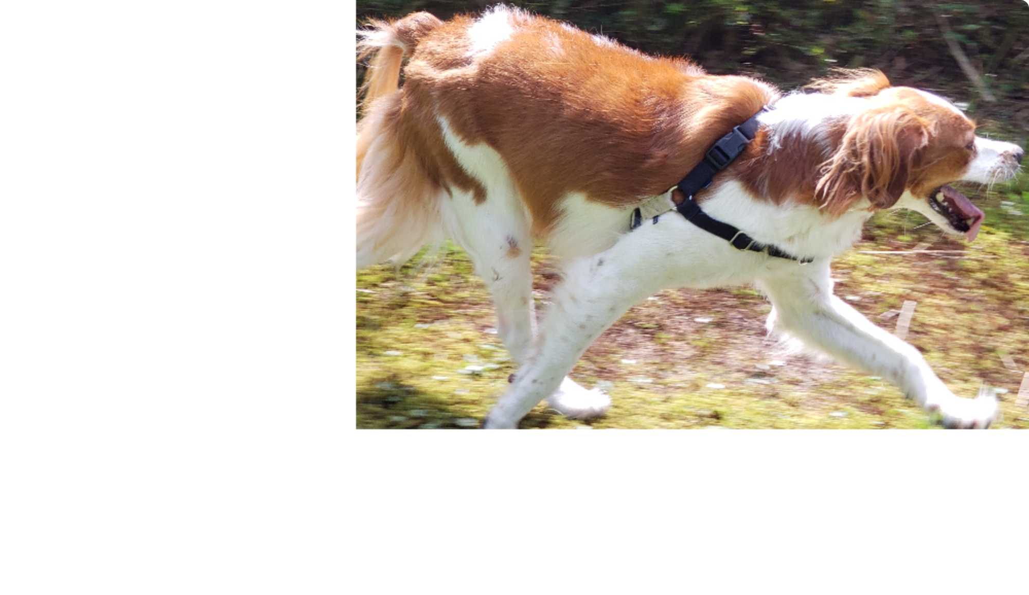 n_20241006_115057.png