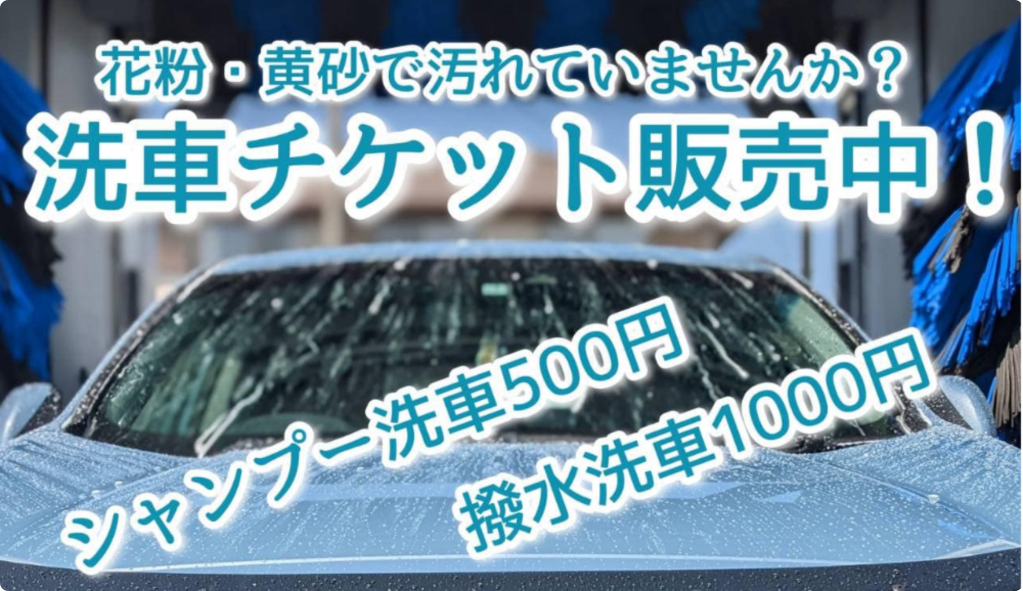 n_5511.png